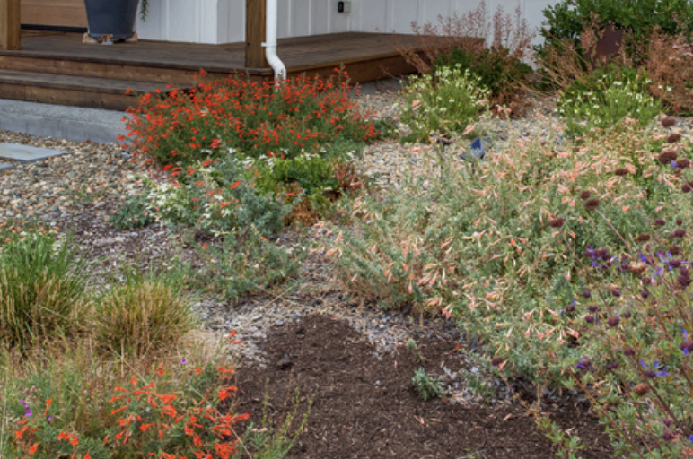 How to Choose the Right Mulch for Fire Safety